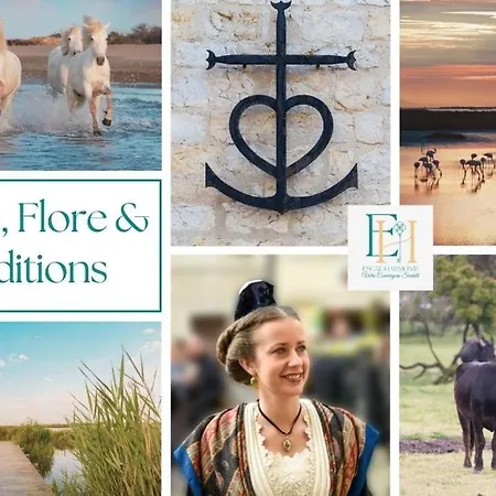 Laly Tatil Evi Calvisson